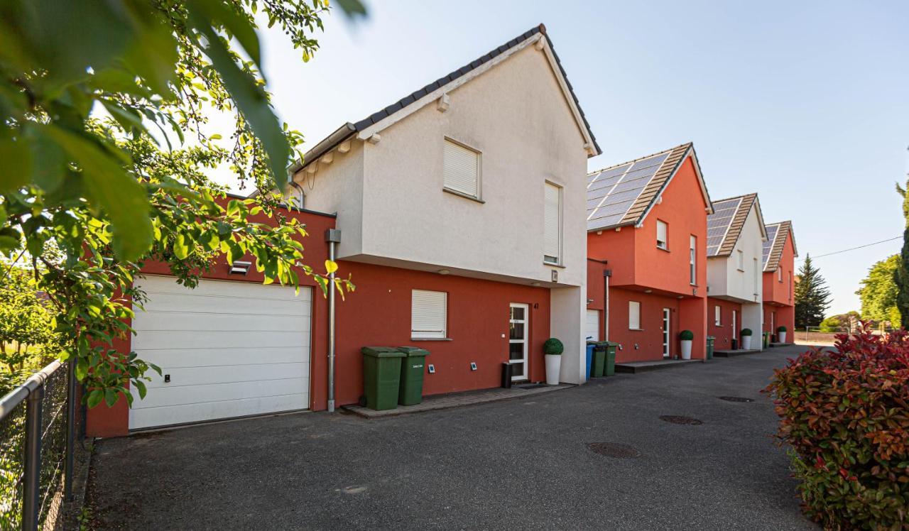 Les Maisons Solaires Villa Pour 15 Pers Maxi Griesheim-près-Molsheim المظهر الخارجي الصورة
